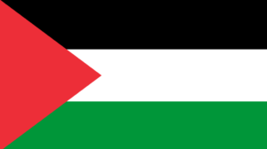 Palestinian legislative vote set for Nov 28: Presidential decree